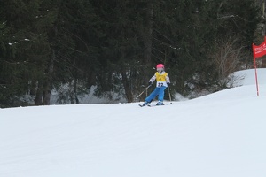 Skirennen (100)