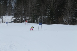 Skirennen (118)