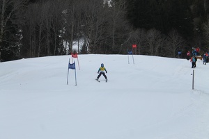 Skirennen (119)