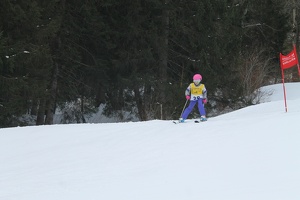 Skirennen (124)