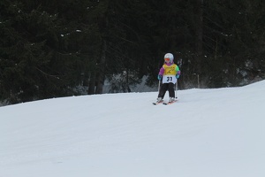 Skirennen (136)