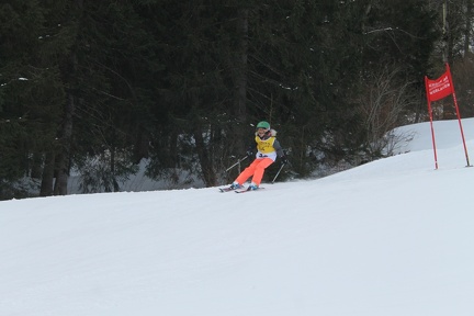 Skirennen (139)