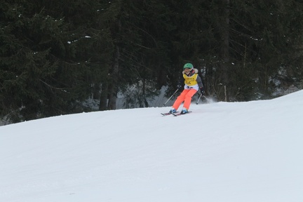 Skirennen (140)