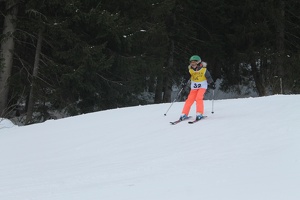 Skirennen (141)