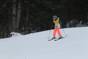 Skirennen (142)