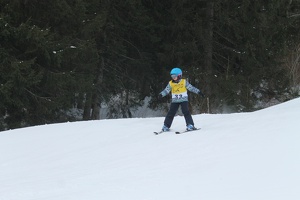 Skirennen (148)