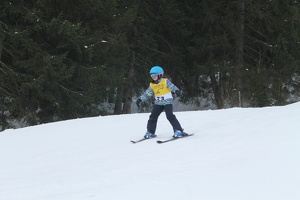 Skirennen (149)